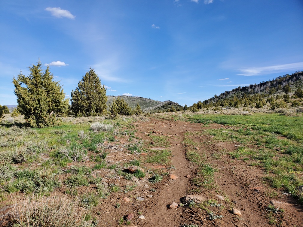 DT-094-2022-05-22 Jeep track view before Buster Ck